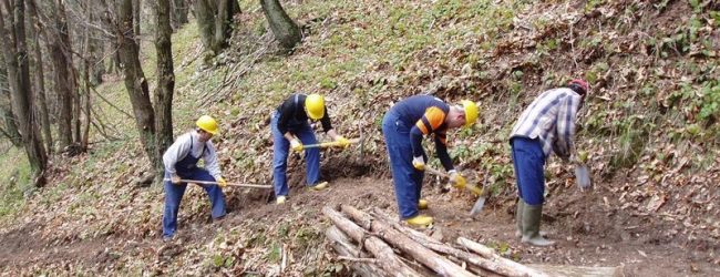 Lavoratori forestali del Sannio,  accreditati fondi regionali. La nota della FAI CISL