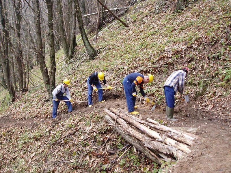 Benevento| La Provincia autorizza il pagamento delle spettanze ai lavoratori forestali