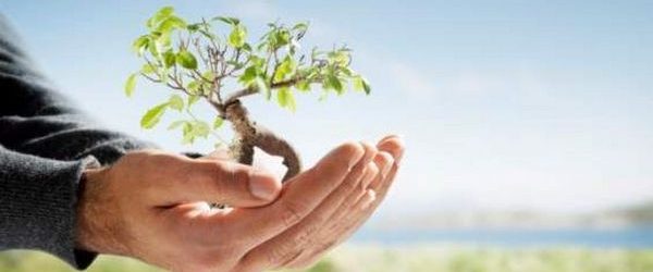 Benevento, domani saranno piantumate 1000 piante nel Parco De Mita