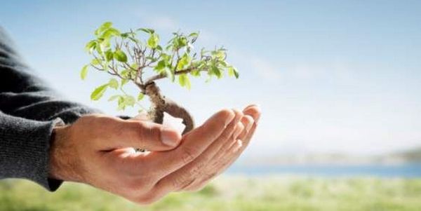 Benevento, domani saranno piantumate 1000 piante nel Parco De Mita