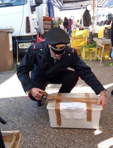 Benevento| Natale, 150 kg di prodotti ittici sequestrati