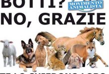 Benevento| Movimento Animalista,stop ai botti di Capodanno