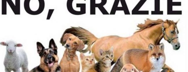 Benevento| Movimento Animalista,stop ai botti di Capodanno