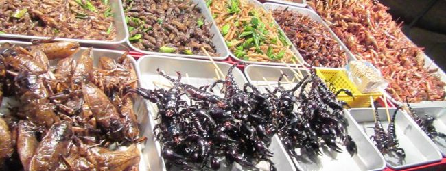 Novel food,la Coldiretti:Vigileremo sui prodotti