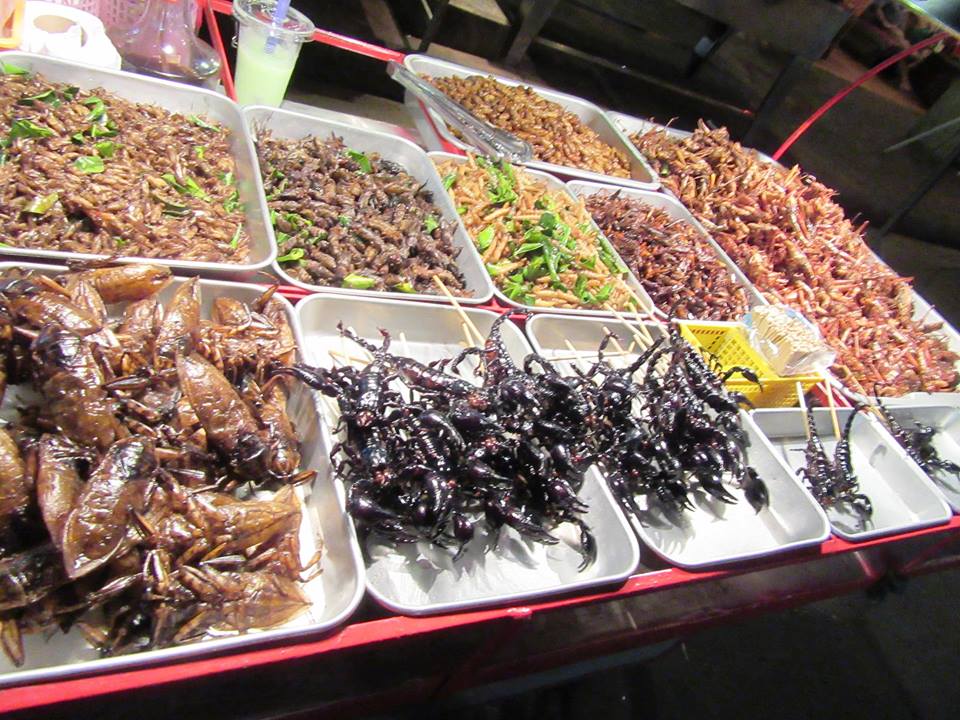 Novel food,la Coldiretti:Vigileremo sui prodotti