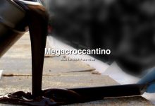 Benevento| Tutto pronto per la festa del Torrone e Croccantino