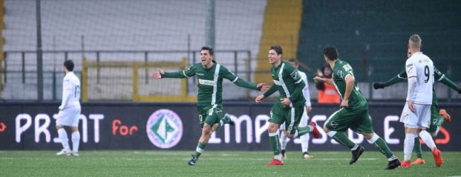 Notte fonda per l’Avellino: il Carpi strappa un punto al “Partenio-Lombardi”