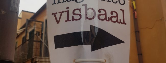 Benevento| Al Magnifico Visbaal in scena “Esiti”