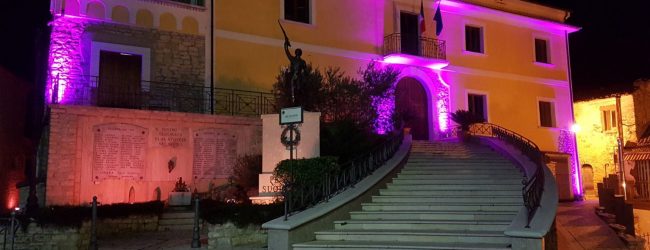 Pesco Sannita,Barbara Vetere: continua la battaglia per la Trasparenza Amministrativa