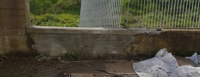 Benevento| Furto Agrisemi Minicozzi, solidarietà di Fernando Errico: “non mollate”