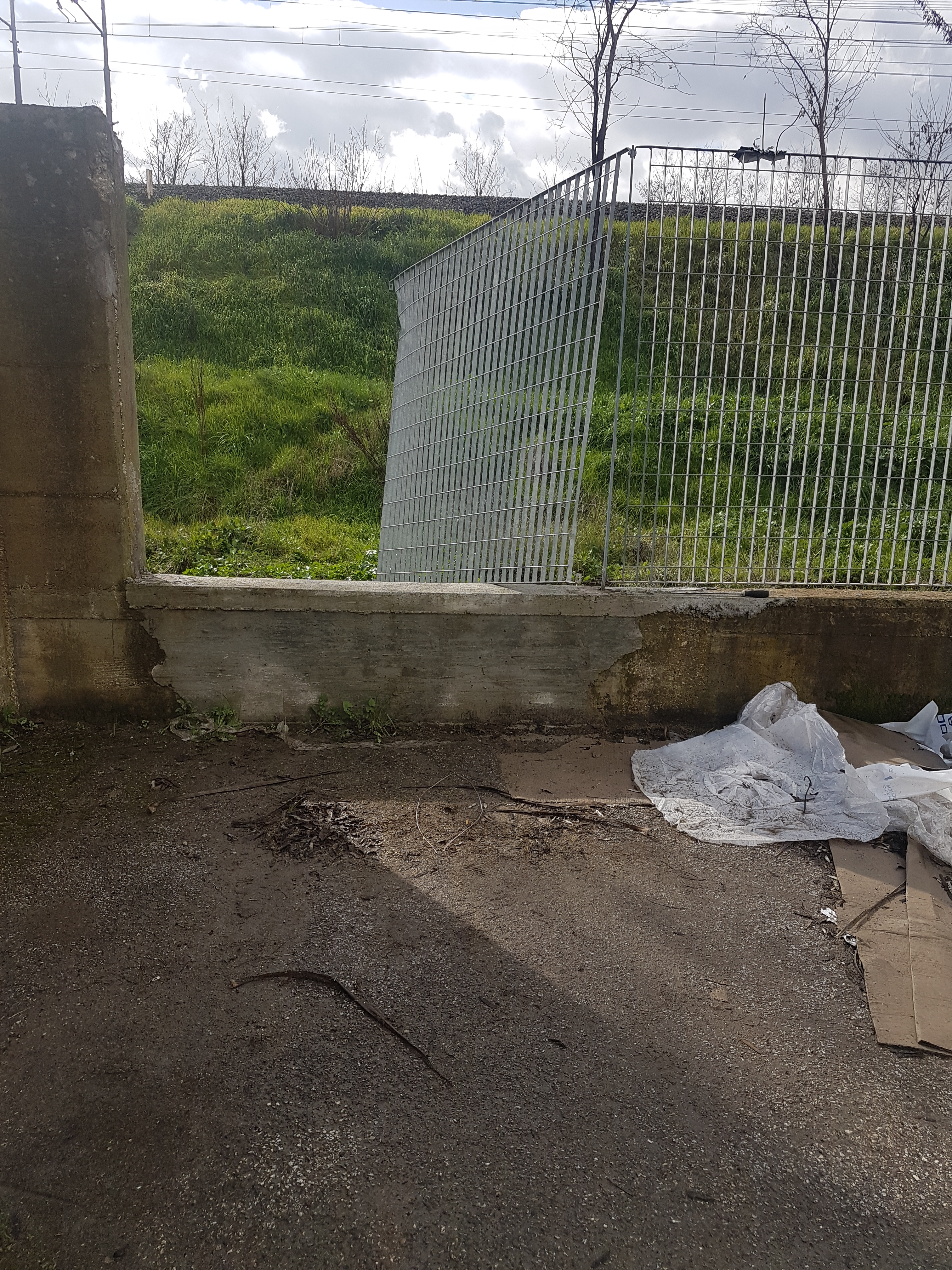 Benevento| Furto Agrisemi Minicozzi, solidarietà di Fernando Errico: “non mollate”