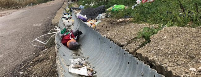 Benevento| Contrada Serretelle, regno di sporcizia e degrado