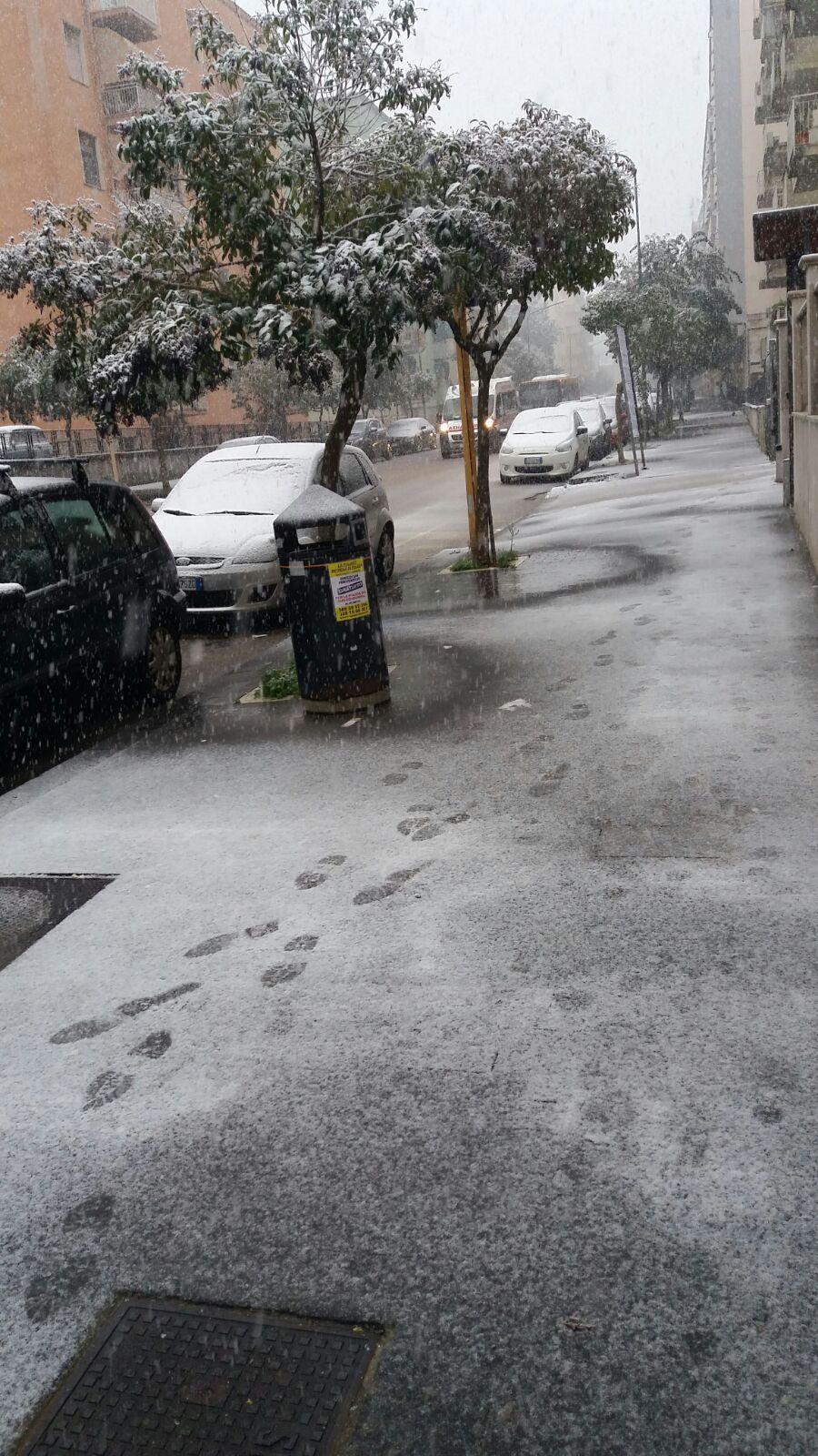 Benevento| Arriva la neve, Sannio imbiancato