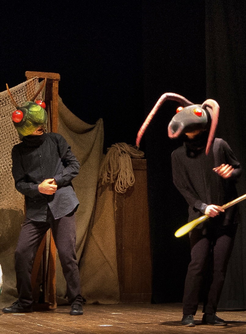 Benevento| Teatro Eidos, in scena “La cicala, la formica e…”