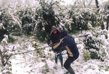 Burian, l’allarme di Coldiretti: “danni ingenti, ora si temono le gelate notturne”