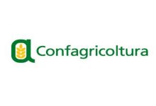 Confagricoltura, allarme gelo per ortaggi