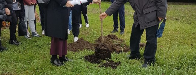 Benevento| La Giornata dei Giusti, Nunziato: ricordare gli esempi di vita