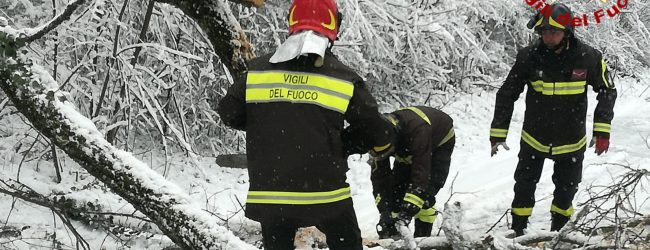 Primavera sottozero in Irpinia: vigili del fuoco in azione/FOTO