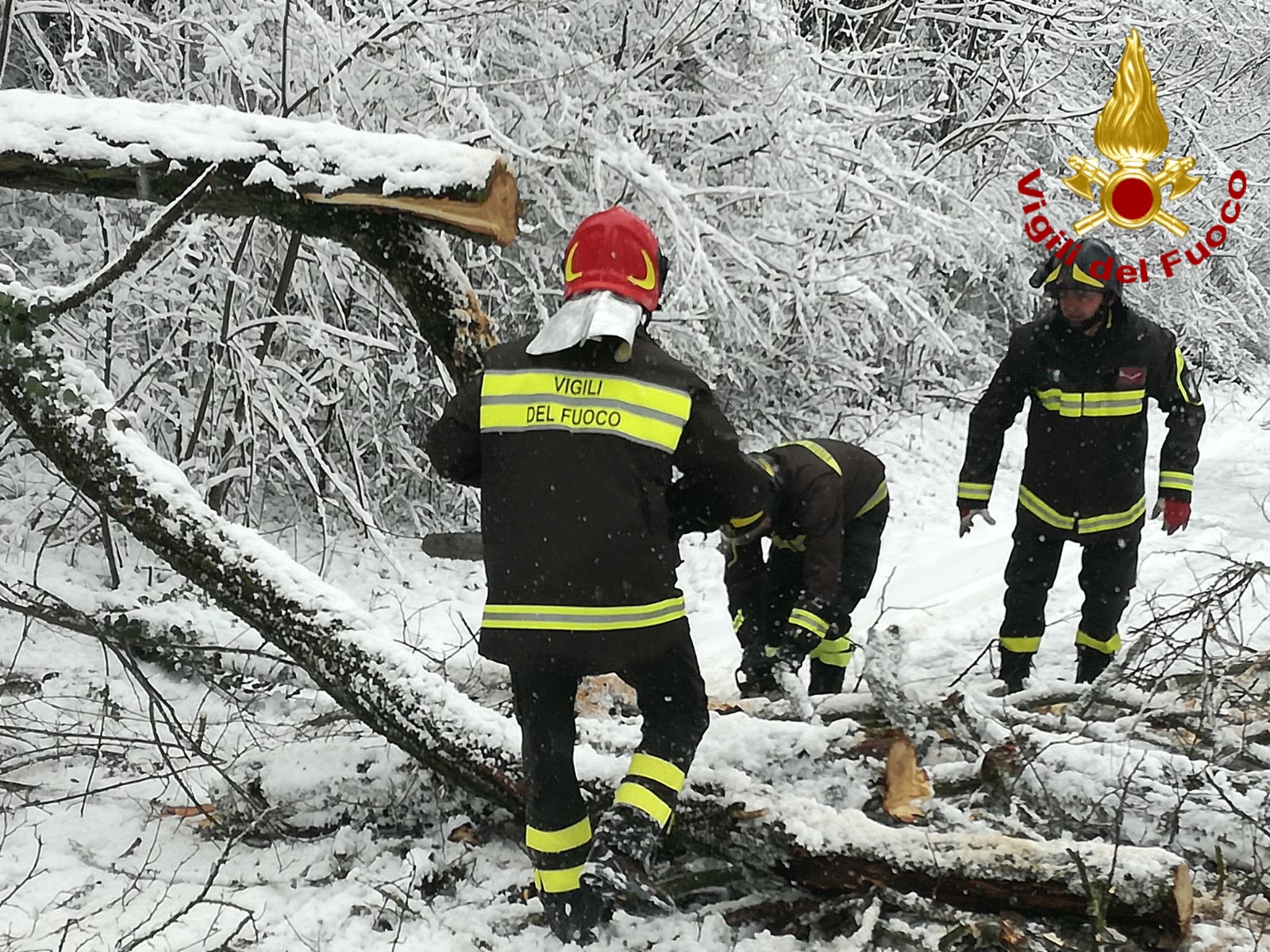 Primavera sottozero in Irpinia: vigili del fuoco in azione/FOTO