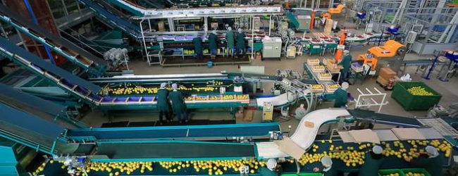 Industria ed economia,la fotografia dell’indagine Anticimex