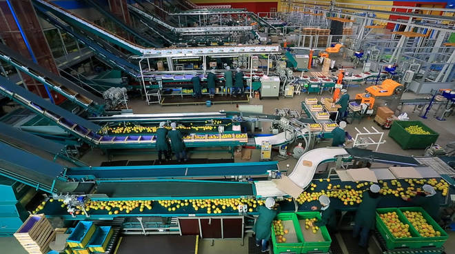 Industria ed economia,la fotografia dell’indagine Anticimex