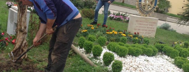 Benevento| Danni all’aiuola a Piazza Castello, la denuncia del comitato Atlantici