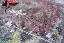 Quindici| Bracconaggio, nei guai un 35nne di Moschiano