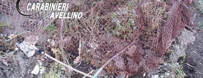 Quindici| Bracconaggio, nei guai un 35nne di Moschiano