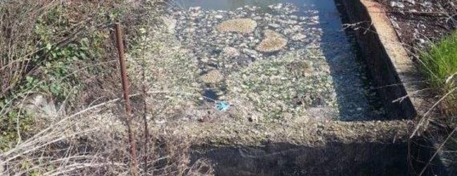 Mirabella Eclano| Depuratori comunali inattivi, denunciato imprenditore