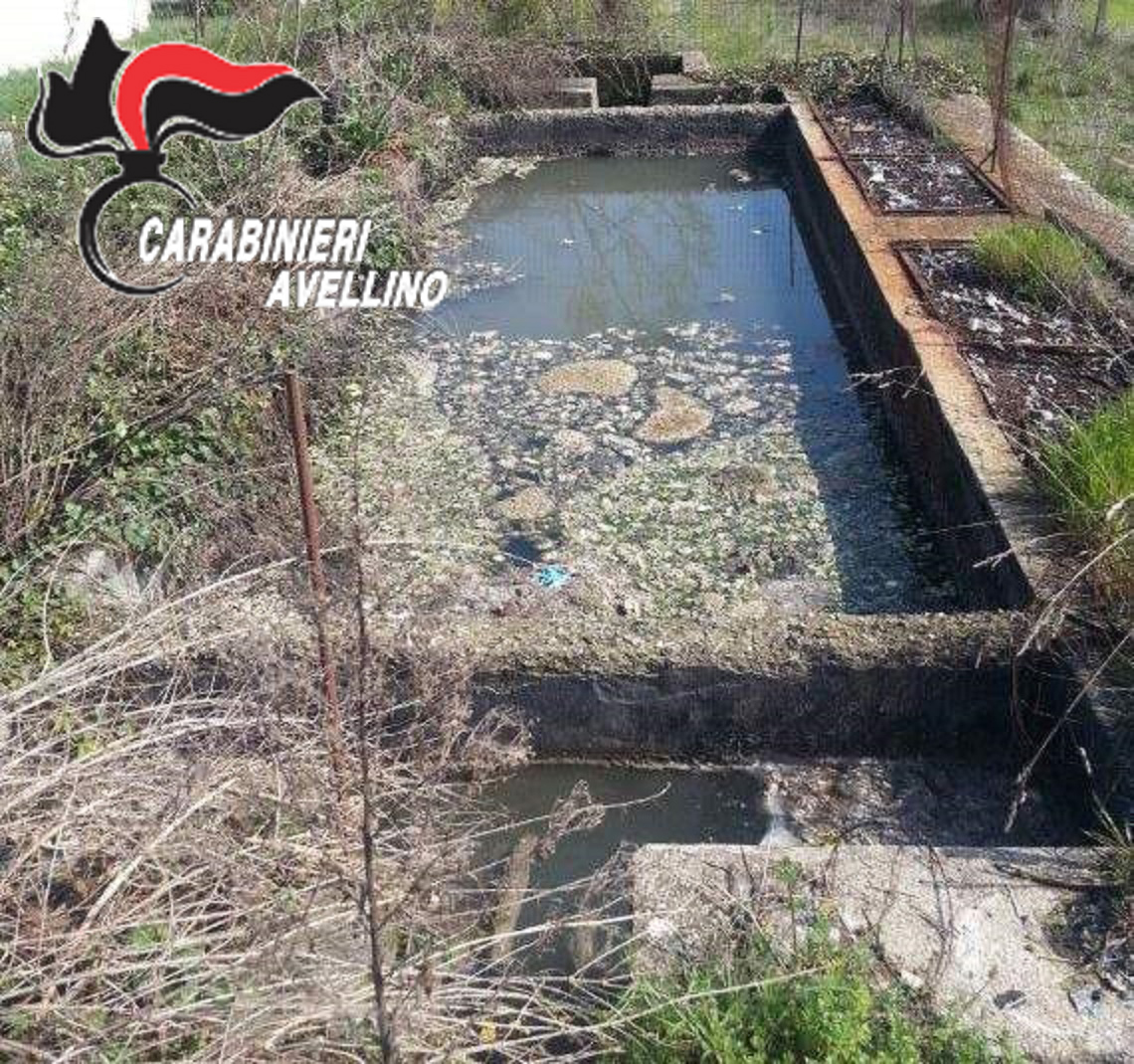 Mirabella Eclano| Depuratori comunali inattivi, denunciato imprenditore