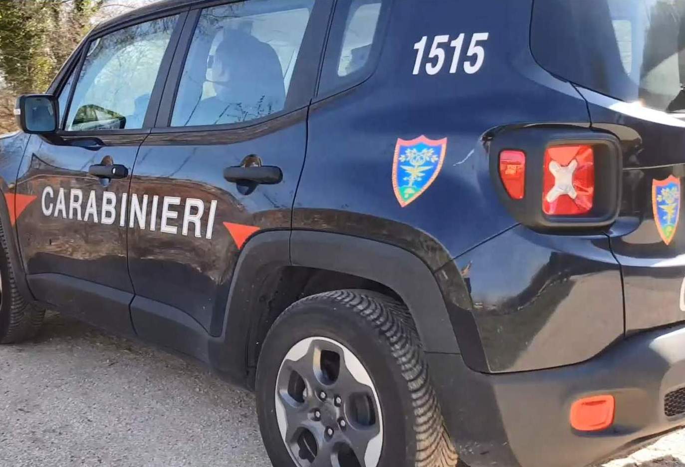 Controlli dei carabinieri forestali, tre denunce in Irpinia