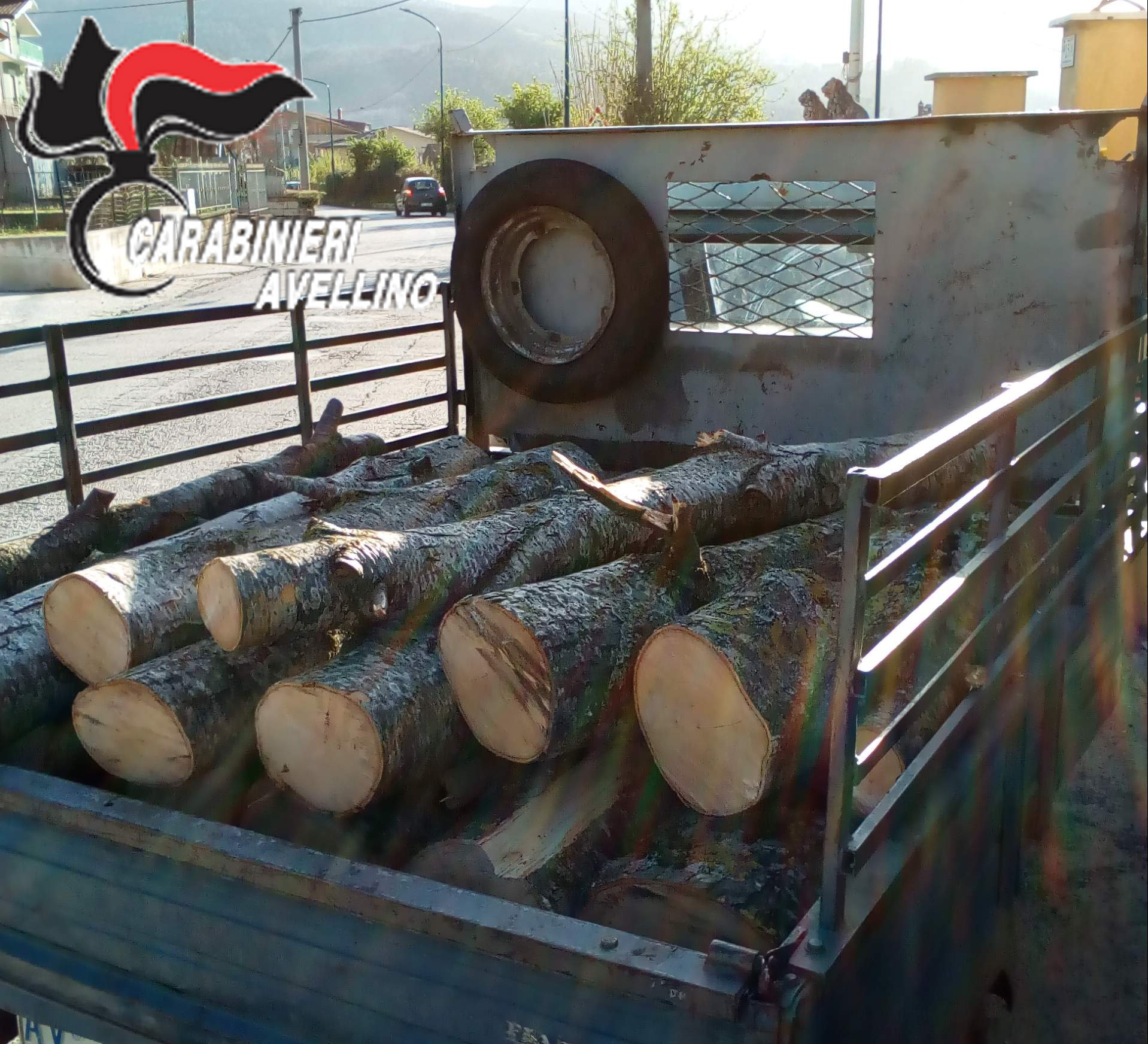 carabinieri furto di legna
