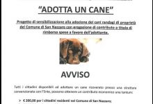 San Nazzaro| Movimento Animalista plaude all’iniziativa del comune