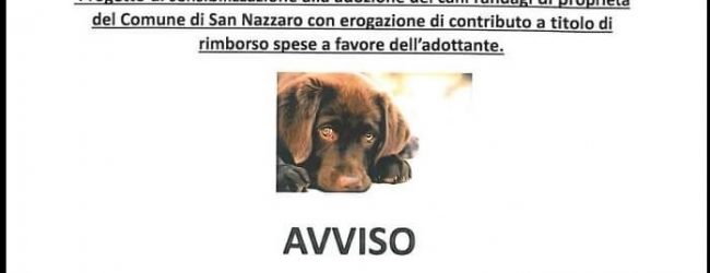 San Nazzaro| Movimento Animalista plaude all’iniziativa del comune