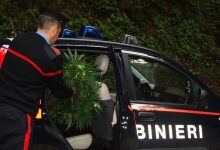 Operazione dei CC tesa al contrasto di droga e armi