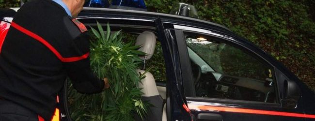 Operazione dei CC tesa al contrasto di droga e armi