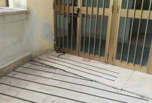 Benevento| Biscia alla scuola Pascoli, Feleppa: “niente allarmismi, tre giorni di pulizia”