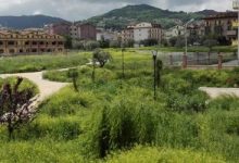 San Giorgio del Sannio| “La villa dei veleni” aspetta il taglio dell’erba