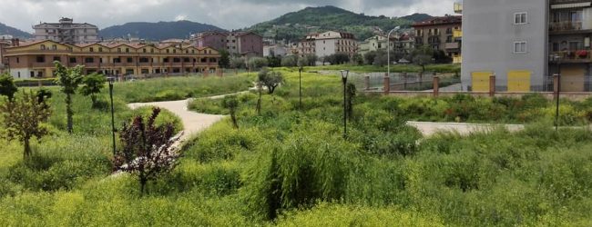 San Giorgio del Sannio| “La villa dei veleni” aspetta il taglio dell’erba