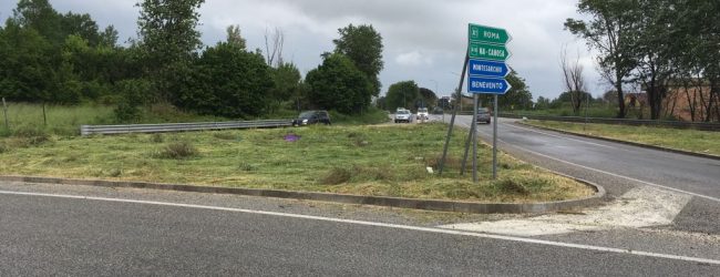 Operai forestali ripuliscono la rotonda di Paolisi