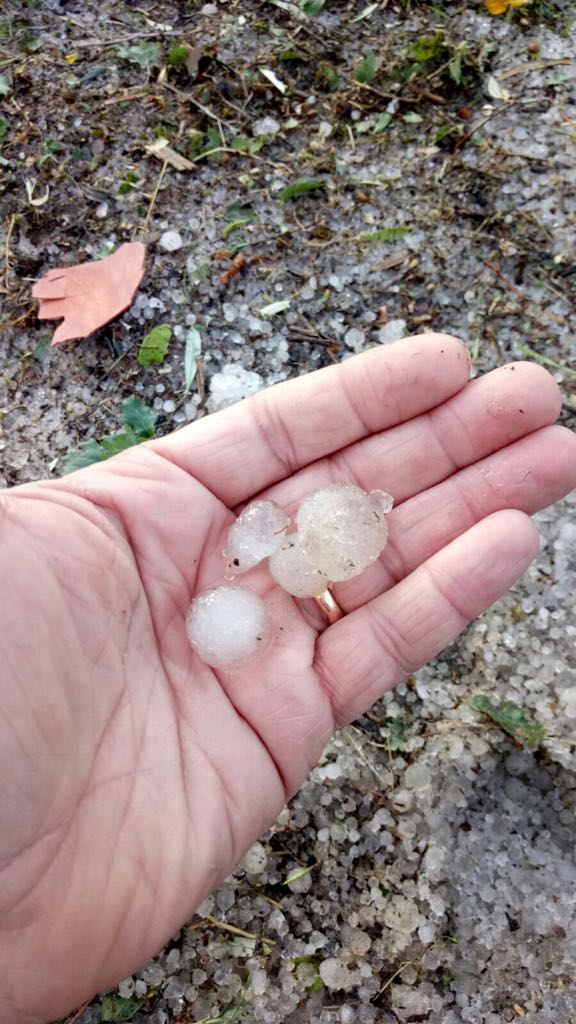 Sant’Agata de’ Goti|Dopo la grandinata si contano i danni