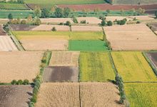 Comunità Montana del Fortore: danni alle produzioni per siccità, aiuti dal Ministero dell’Agricoltura