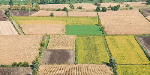Agricoltura: Presentate quasi 1000 domande per bando PSR tra Irpinia e Sannio, è record