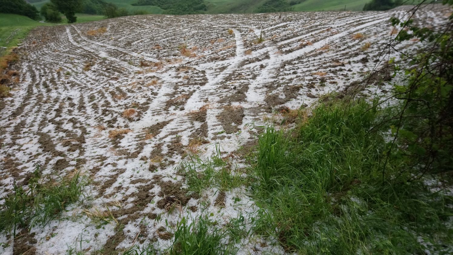 Cia: chiesto alla Regione intervento per aziende danneggiate dalla grandine