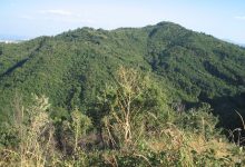 Montefusco| 69enne trovato senza vita nel bosco.Ipotesi suicidio