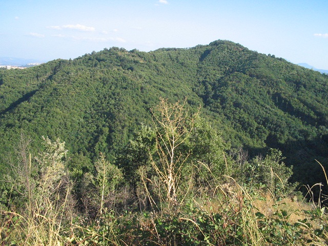 Montefusco| 69enne trovato senza vita nel bosco.Ipotesi suicidio