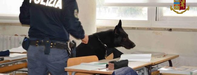 Avellino| Spaccio a scuola, sequestrati 24 grammi di droga