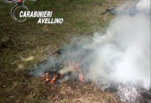Monteforte Irpino| Smaltisce i rifiuti bruciando plastica e materiale elettrico, denunciato