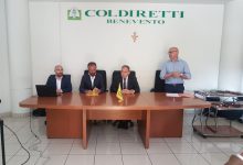 Benevento| Coldiretti: Tabacchi,accordo tra MST e ONT
