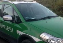 Irpinia| Controlli dei carabinieri forestali, 10 denunce